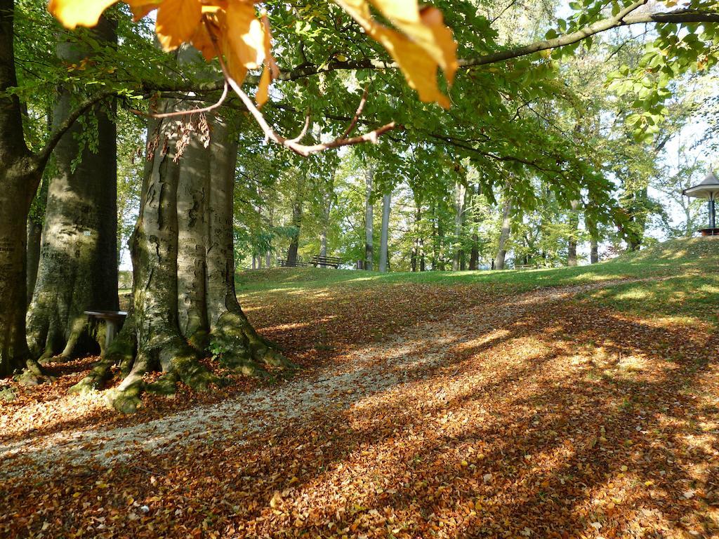 Parkhotel Bad Hall Eksteriør bilde