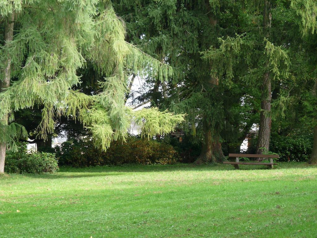 Parkhotel Bad Hall Eksteriør bilde